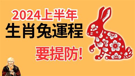 2025兔年運程1987|属兔人2025年全年运势运程，属兔人2025年运势及运程每月运程